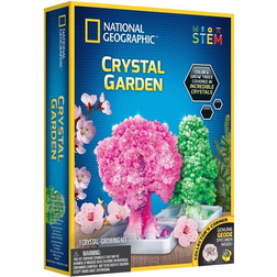 National Geographic Crystal Garden Kit