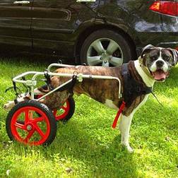 JQQJZLC Upgraded Dog Hind Leg Pet Wheelchair XL