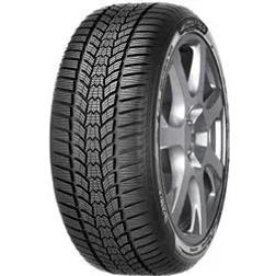 Sava Eskimo HP2 205/55 R16 91H