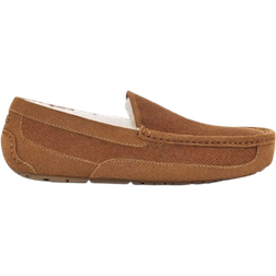 UGG Ascot Corduroy II - Chestnut