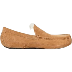 UGG Ascot - Chestnut