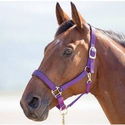 Shires Topaz Nylon Headcollar in Purple, Cob Charlies