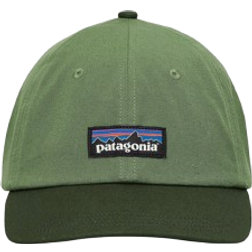 Patagonia P 6 Label Trad Cap - Terrain Green