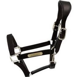 Kentucky Horsewear Anatomic Nylon Halter - Black