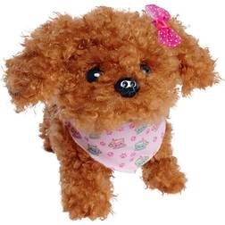 Simba ChiChi Love Tea Cup Poodle Puppy