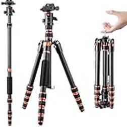 K&F Concept Kamerastativ, Lätt Resestativ i Kolfiber, Kompakt Stativ för Fotografering med Enbensstativ, 360 Kulhuvud och Utlösningsplatta för DSLR Kamera C225C0 BH-25(BA225)