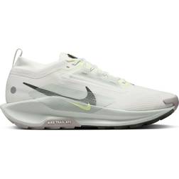 Nike Pegasus Trail 5 GTX M - Summit White/Light Silver/College Grey/Sequoia