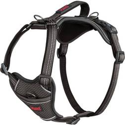 Halti Justerbar Grå Hundsele 28-42 cm