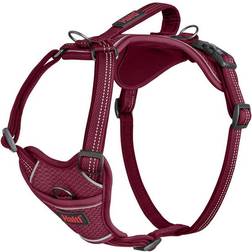 Halti Premium Burgunder Hundsele för Medelstora till Stora Raser L 42-65 cm