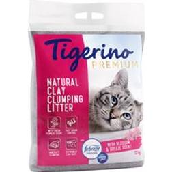 Tigerino Premium Kattströ Febreze Fresh Flower 2 x 12 kg