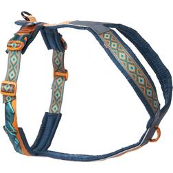 Non-Stop Dogwear Line Harness 5.0 Rachel Pohl Edition Teal/Oak