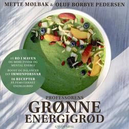 Professorens grønne energigrød (Lydbog, MP3, 2024)