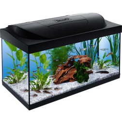 Tetra Acquario Starter Line Led Black 54 L mk