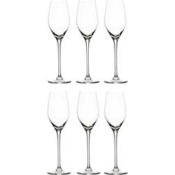 aida Passion Connoisseur Champagneglas 26.5cl 6stk