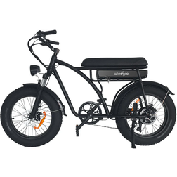 Windgoo F5 - 4,0" Fatbike Off-Road E Bike