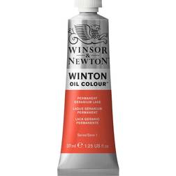 Winsor & Newton Winton Oil Color Permanent Geranium Lake 37ml