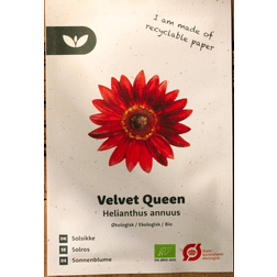 Bland Selv Frø Velvet Queen Solsikkefrø Blomsterfrø