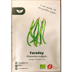 Bland Selv Frø Faraday Dværgbønne Grøntsagsfrø