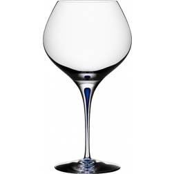 Orrefors Intermezzo Blue Bouquet Rödvinsglas 70cl