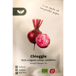 Bland Selv Frø Chioggia Rødbede Grøntsagsfrø