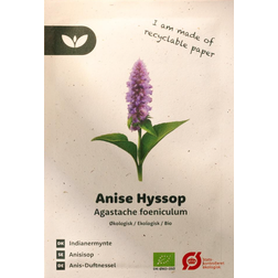 Bland Selv Frø Anise Hyssop Indianermynte Blomsterfrø