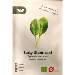 Bland Selv Frø Early Giant Leaf Spinat Grøntsagsfrø