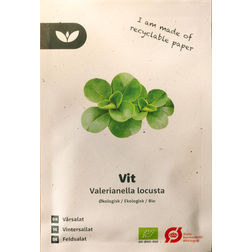 Bland Selv Frø Vit Vårsalat Grøntsagsfrø
