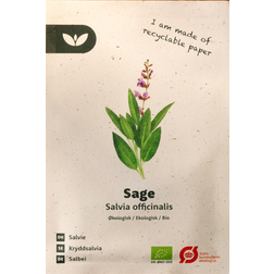 Bland Selv Frø Sage Salvie Blomsterfrø