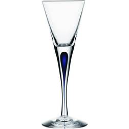 Orrefors Intermezzo Snapseglas 6cl
