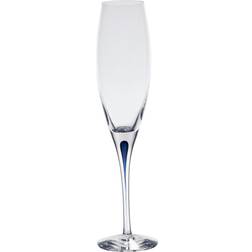 Orrefors Intermezzo Champagne Glass 26cl 4pcs