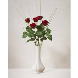 Interflora 5 röda rosor med grönt