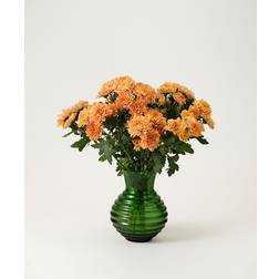 Interflora Krysantemum