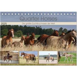 Calvendo Quarter Horses The Largest Studbook Breed in the World Desk Calendar 2025 A5