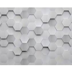 Canora Grey Nowayton Matte Mural 280cm L x 350cm W Wall Decor