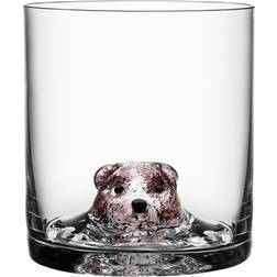 Kosta Boda Vaso New Friends Tumblerglas 46cl