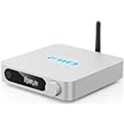 Fiio SR11 AirPlay WiFi Streamer