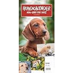 Semic Hundkalender 2025