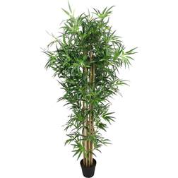 BigBuy Home S8700729 Green Konstgjord växt