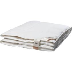 Magasin du Nord Collection Dundyne (240x220cm)