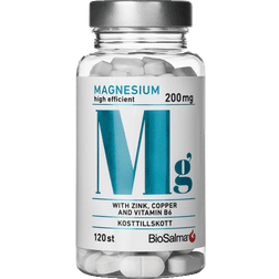 BioSalma Magnesium 200mg 120 stk