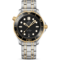 Omega Seamaster (210.20.42.20.01.002)