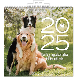 1Conzept Dogs Photo Calendar 2025