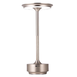 Rechargeable Silver Bordlampe 28.5cm