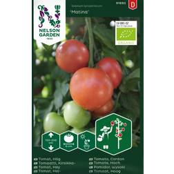 Nelson Garden Ekologisk Tomat Matina