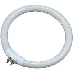 Edm Circular Fluorescent Lamps 12W T4