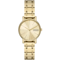 Skagen Signatur Lille (SKW3124)