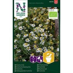 Nelson Garden Kamomill Organic