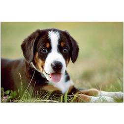 Veloflex Desk Pad Plastic Puppy