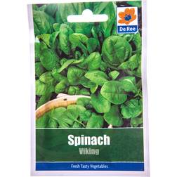 Viking Spinach Seed Packet Green