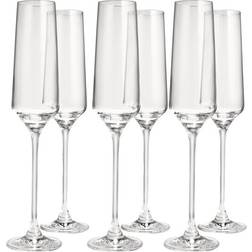 Anders Petter Celebration 19 cl 6-pack Champagneglas 6st